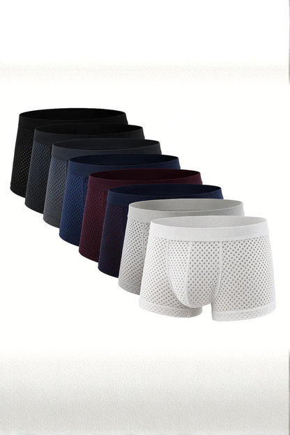 Boxer bambú características