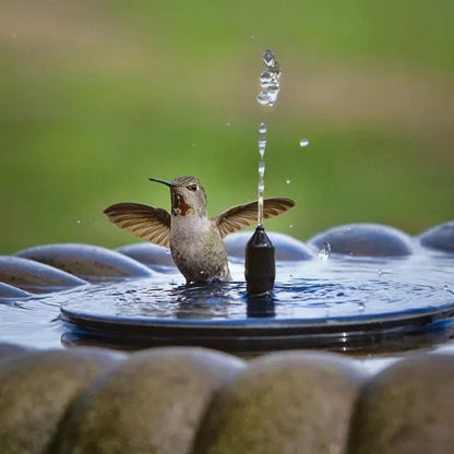 🔥EcoSplash™ Fuente Flotante con Energía Solar – ¡Mantén tu jardín vivo! 🐦️ + envio gratis + regalo
