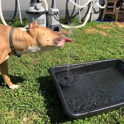 🔥EcoSplash™ Fuente Flotante con Energía Solar – ¡Mantén tu jardín vivo! 🐦️ + envio gratis + regalo